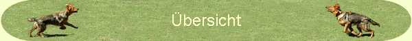 �bersicht